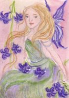 Bluebell fairy